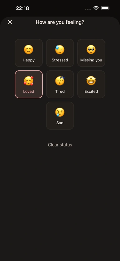 Daily Mood Tracking interface